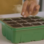 Indoor Gewächshaus – Mit LED-Lichtern und Belüftungssystem – Für Pflanzenzucht zu Hause