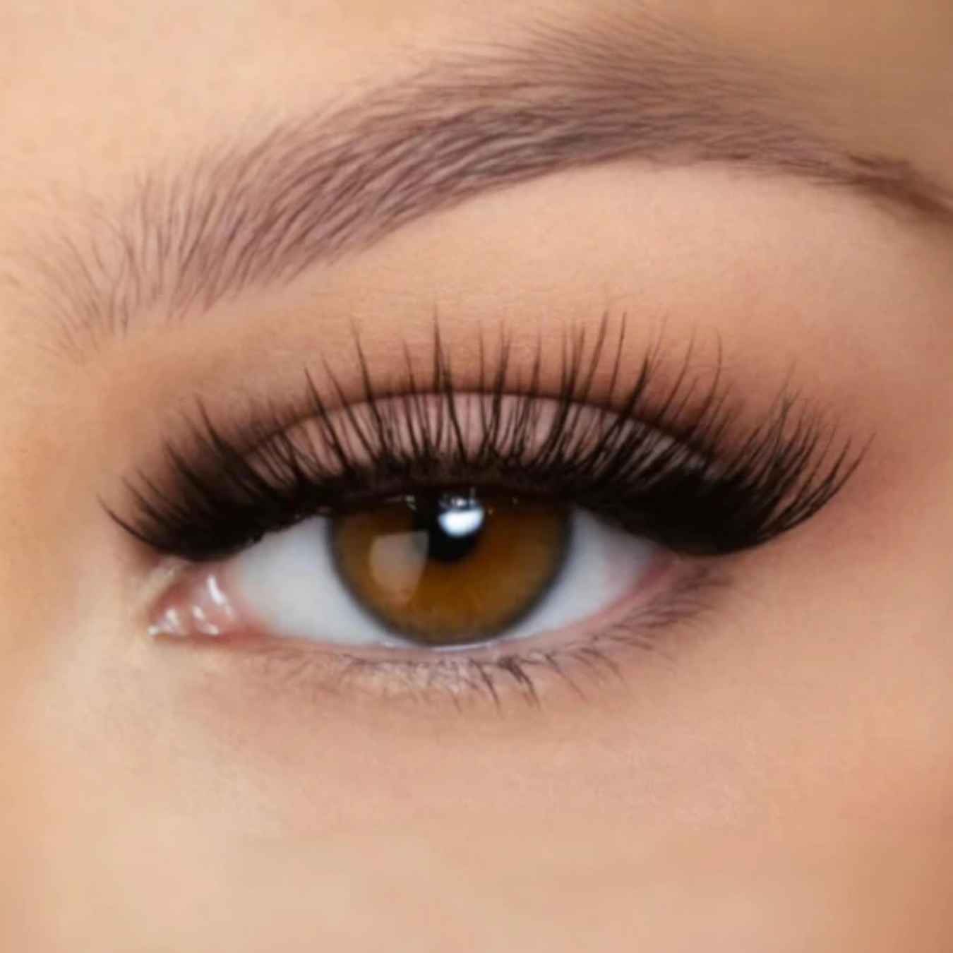 MaggyLash Magnetwimpern | Perfekte Wimpern in Sekunden