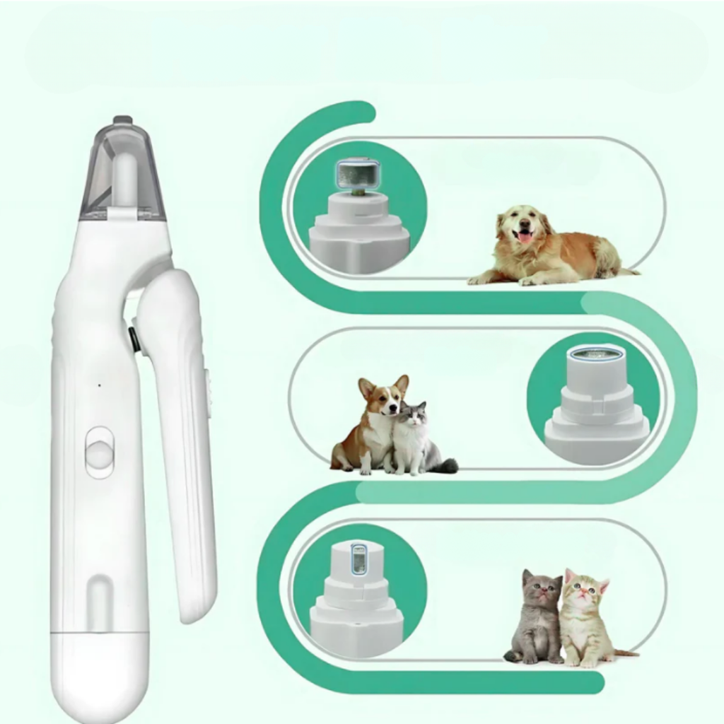 Sicheres Nägelschneiden für Ihren Hund zu Hause, ohne Stress