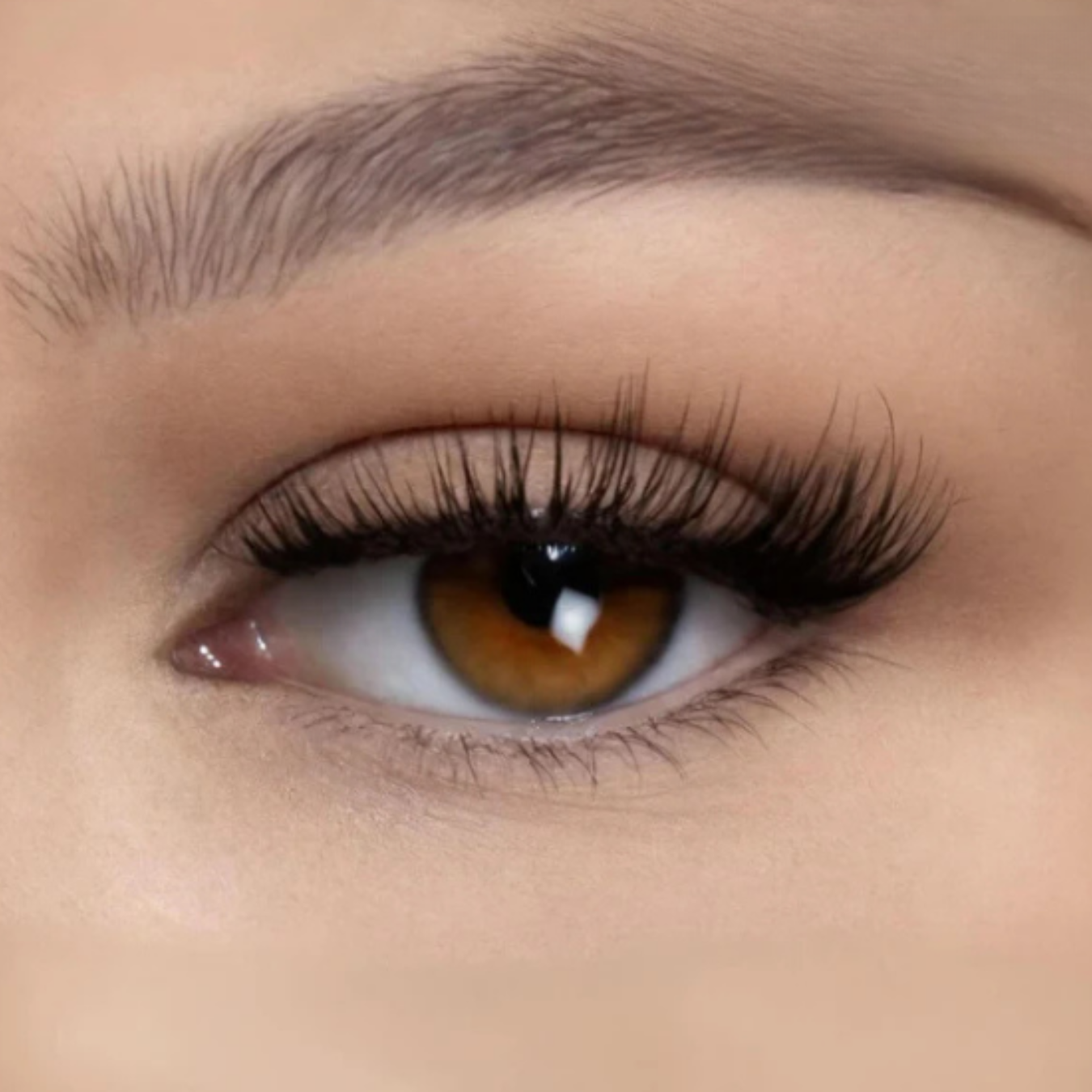 MaggyLash Magnetwimpern | Perfekte Wimpern in Sekunden