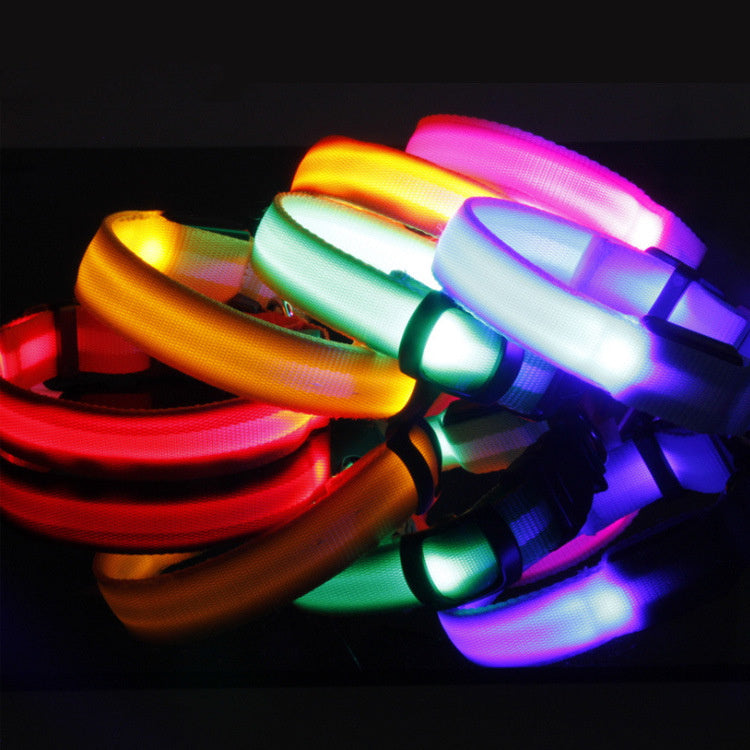 Glow LED Hundehalsband | Sicherheit im Dunkeln