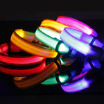 Glow LED Hundehalsband | Sicherheit im Dunkeln