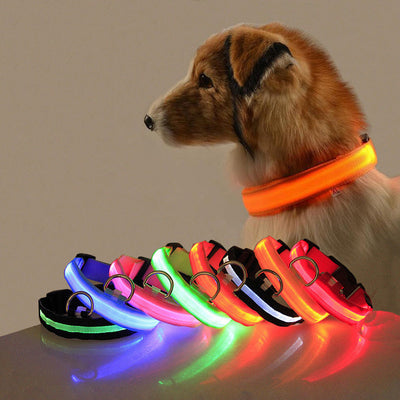 Glow LED Hundehalsband | Sicherheit im Dunkeln