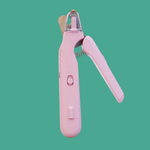 Sicheres Nägelschneiden für Ihren Hund zu Hause, ohne Stress