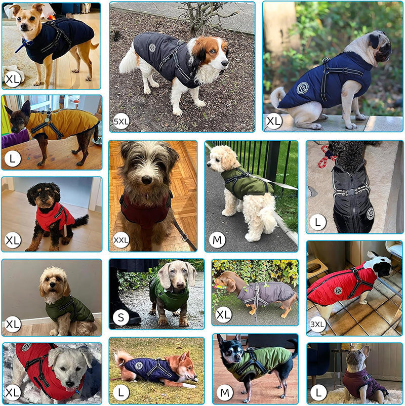 Hundemantel – Mit Geschirr – Warm und Bequem – Für den Winter