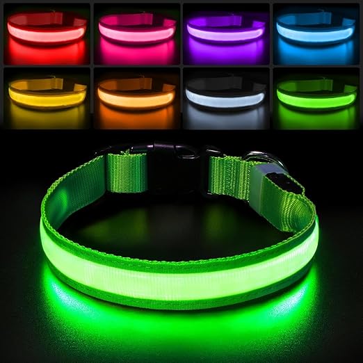 Glow LED Hundehalsband | Sicherheit im Dunkeln
