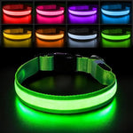 Glow LED Hundehalsband | Sicherheit im Dunkeln