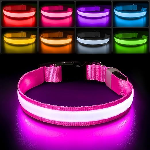 Glow LED Hundehalsband | Sicherheit im Dunkeln