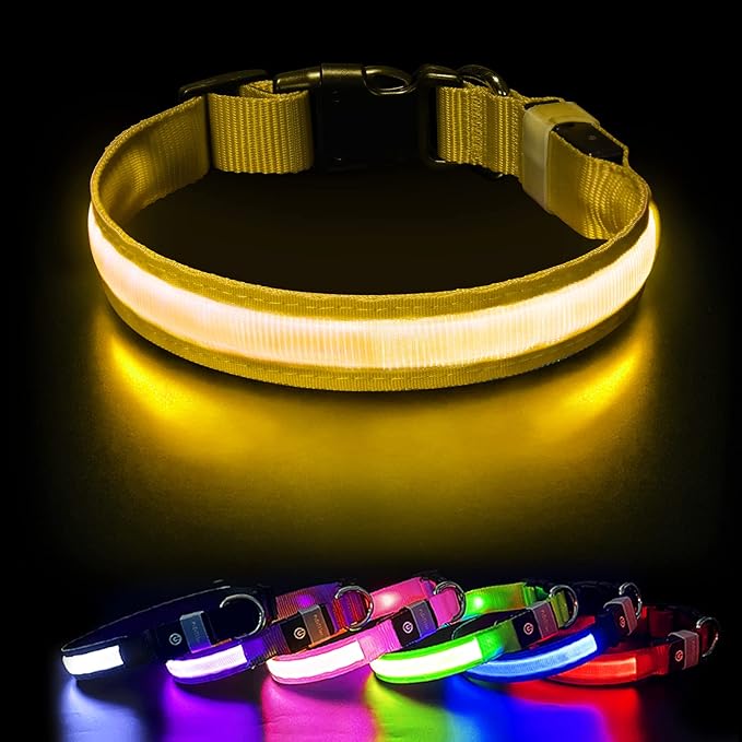Glow LED Hundehalsband | Sicherheit im Dunkeln
