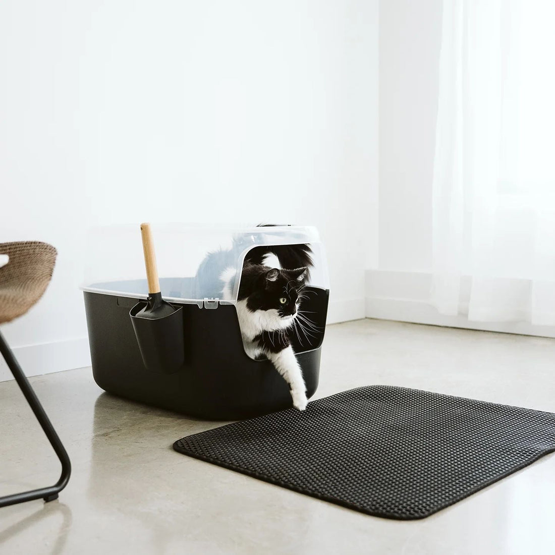 KlaraClean Katzenstreumatte | Fängt Streu & spart Nerven