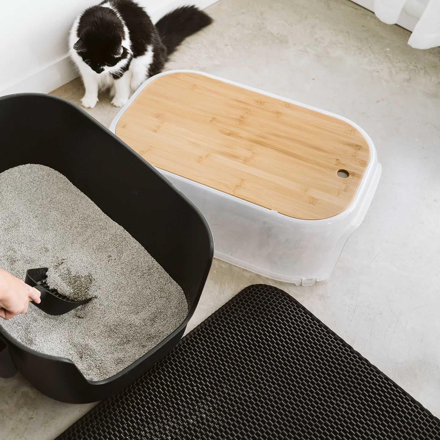 KlaraClean Katzenstreumatte | Fängt Streu & spart Nerven