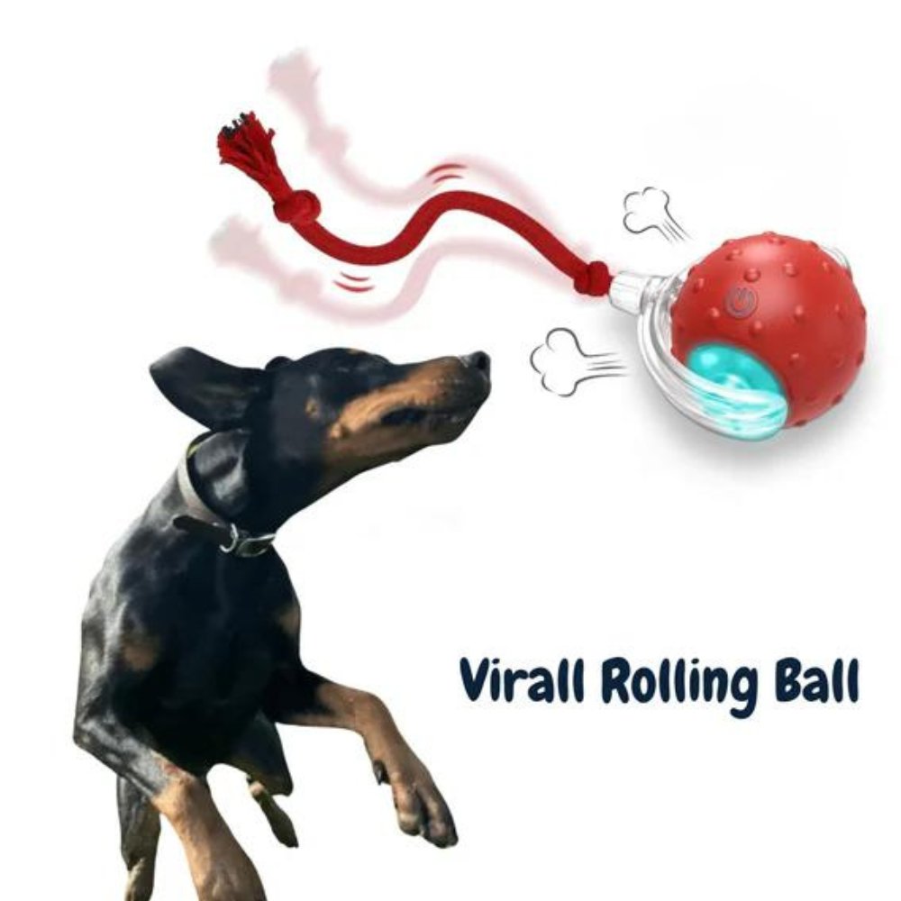 Hundespielzeug – Rollender Ball – Mit Leuchtdesign – Für Hunde