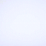 Animal Balance Spielzeug – Mit Bunte Tierspielfiguren – Fördert Koordination und Geduld