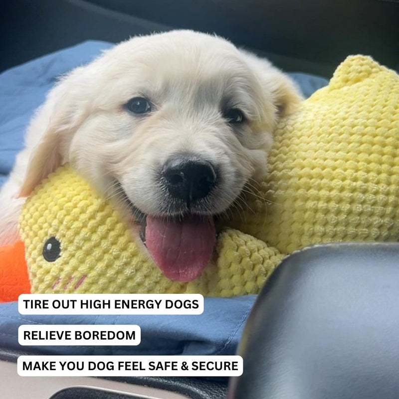 CalmiDuck Comfort | Kuschelig Plüsch-Ente für Hunde