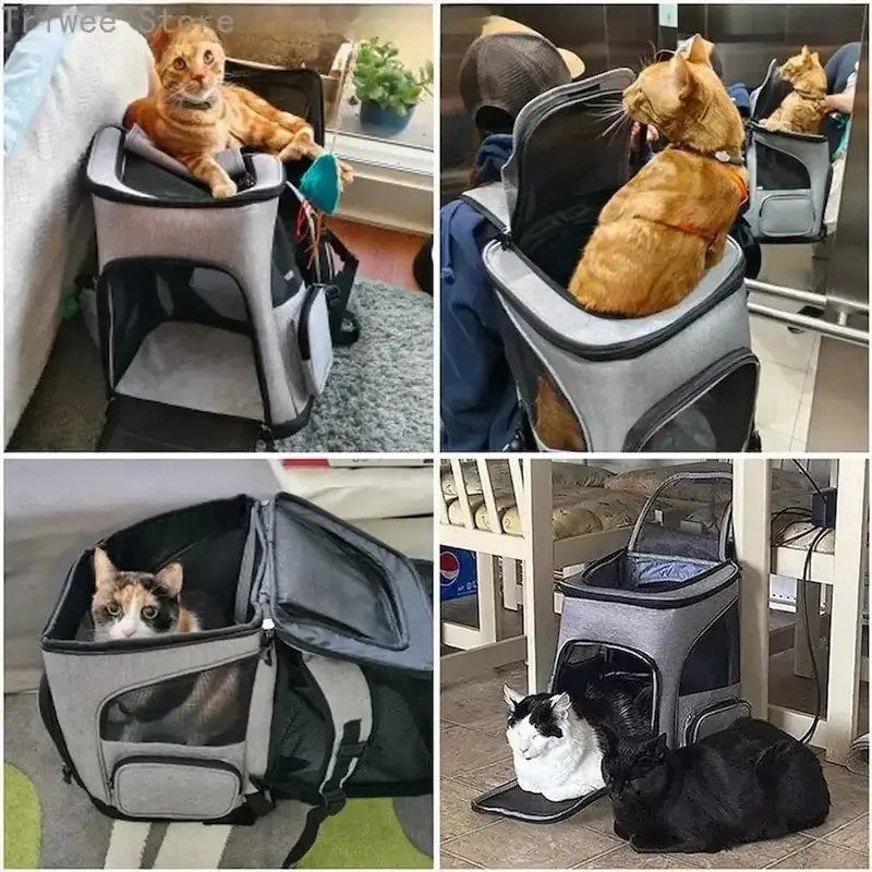 Katzenrucksack – Mit Belüftung – Tragbar – Für Reisen und Outdoor