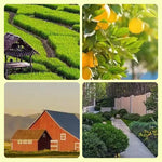 Wildschweinabwehrgerät – Solarbetrieben – LED-Lichter – Für Garten und Hof