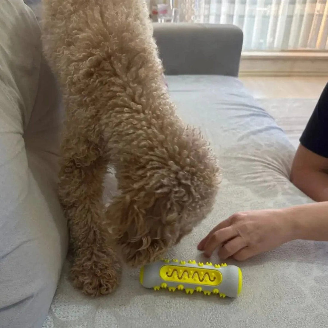 Beruhigungsspielzeug für Hunde – Stressabbau – Interaktives Spielzeug