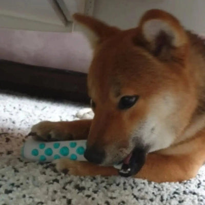 Beruhigungsspielzeug für Hunde – Stressabbau – Interaktives Spielzeug